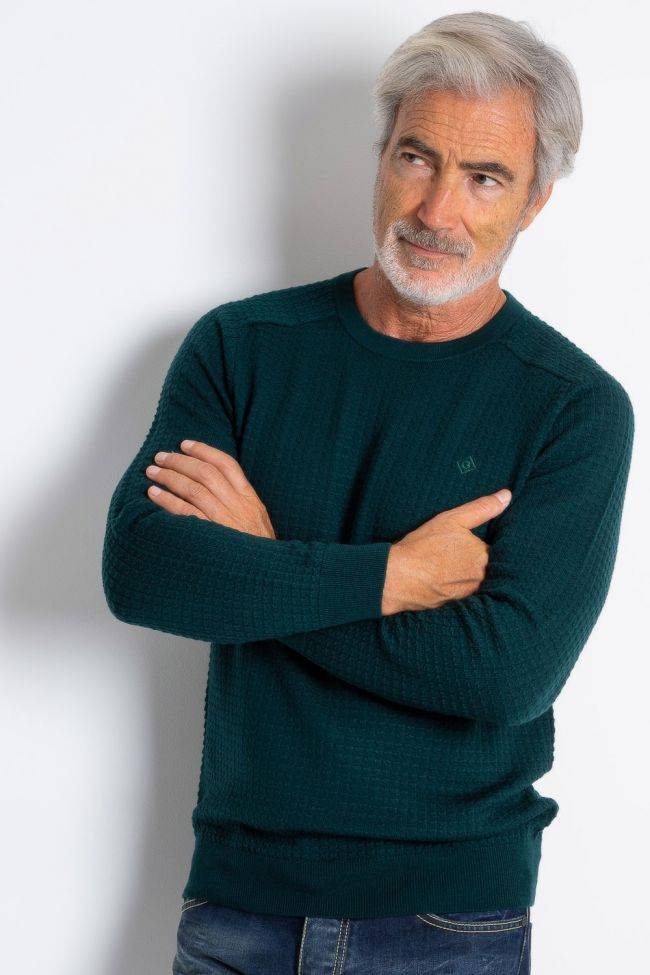 Gant Strickwaren Herren Gant Rundhalsausschnitt Classic Einfarbig 100% Wolle