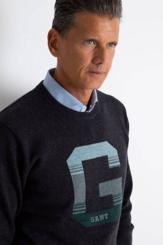 Gant Strickwaren Herren Gant Rundhalsausschnitt Classic Einfarbig 80% BW 20% WO