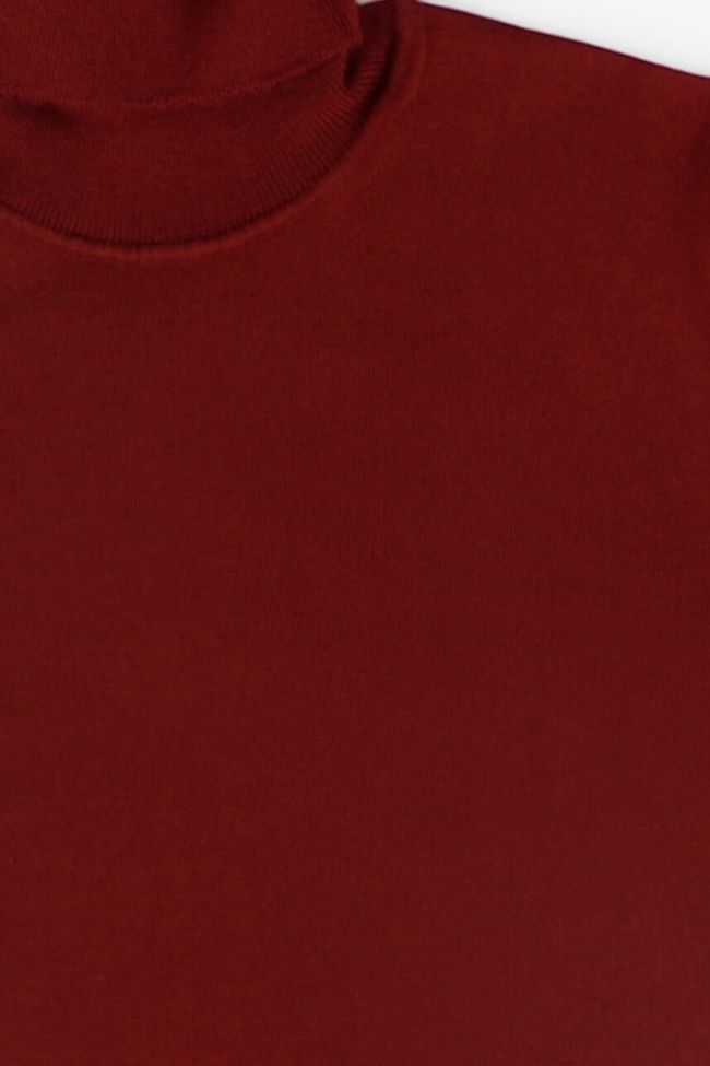 Primo Emporio Strickwaren Herren Primo Emporio Hoher Kragen Slim Einfarbig 100% Wolle