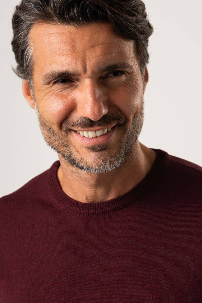 Privati Firenze Strickwaren Herren Privati Firenze Rundhalsausschnitt Slim Einfarbig 100% Merinowolle