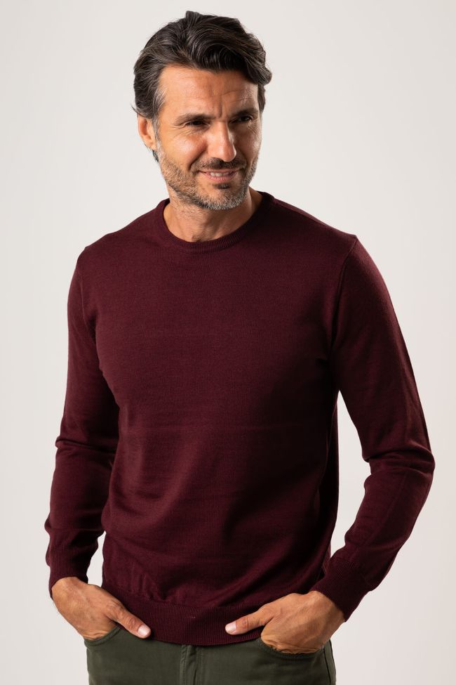 privati firenze Strickwaren Herren Privati Firenze Rundhalsausschnitt Slim Einfarbig 100% Merinowolle