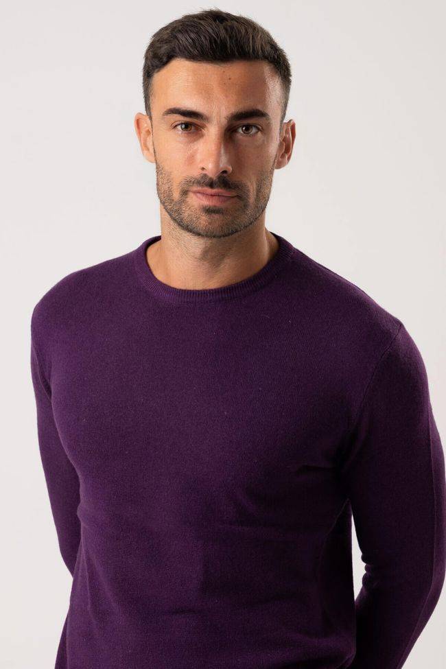 Privati Firenze Strickwaren Herren Privati Firenze Rundhalsausschnitt Slim Einfarbig 90% Wolle 10% Kaschmir