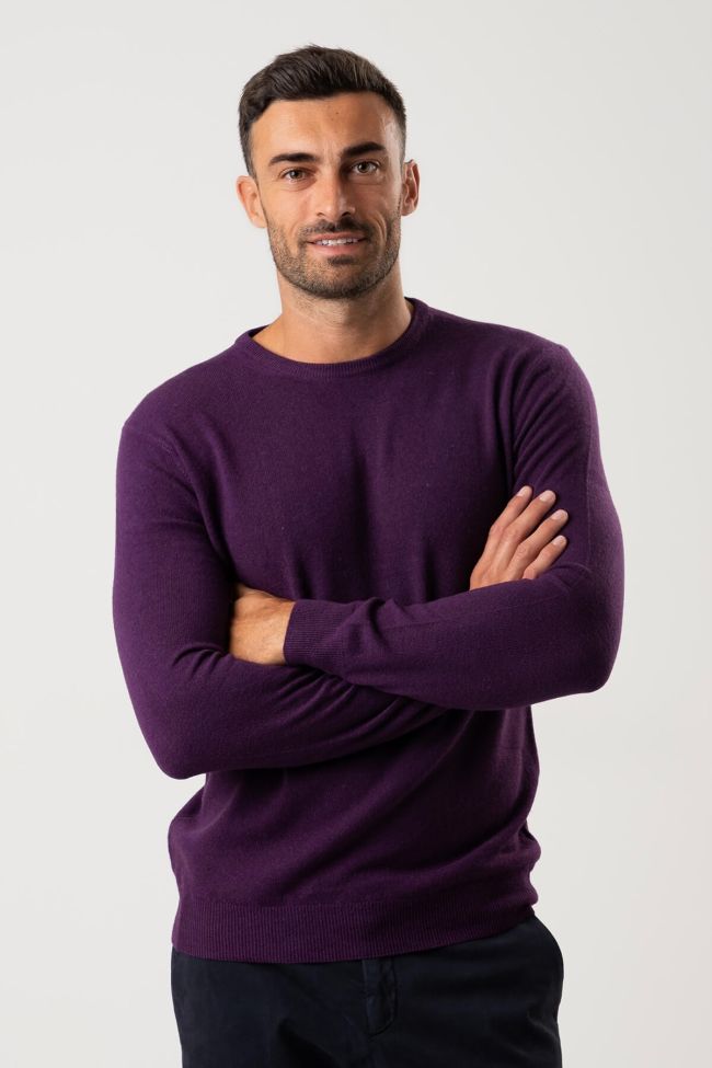 privati firenze Strickwaren Herren Privati Firenze Rundhalsausschnitt Slim Einfarbig 90% wolle 10% Kaschmir