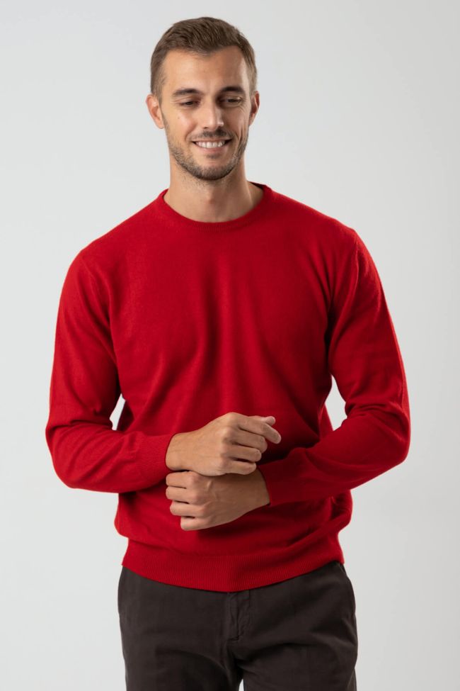 privati firenze Strickwaren Herren Privati Firenze Rundhalsausschnitt Slim Einfarbig 100% Kaschmir