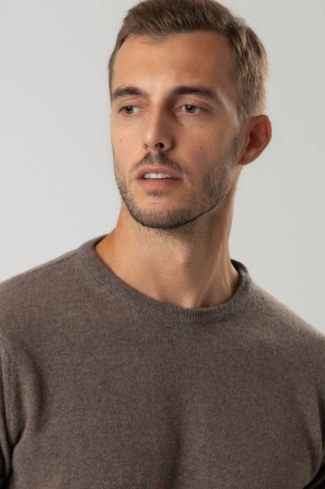 Privati Firenze Strickwaren Herren Privati Firenze Rundhalsausschnitt Slim Einfarbig 100% Kaschmir