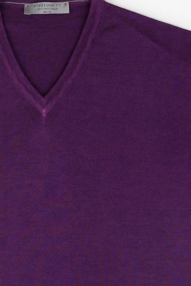 Privati Firenze Strickwaren Herren Privati Firenze V-Ausschnitt Regular Einfarbig 100% Merinowolle