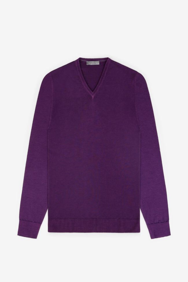 privati firenze Strickwaren Herren Privati Firenze V-Ausschnitt Regular Einfarbig 100% Merinowolle