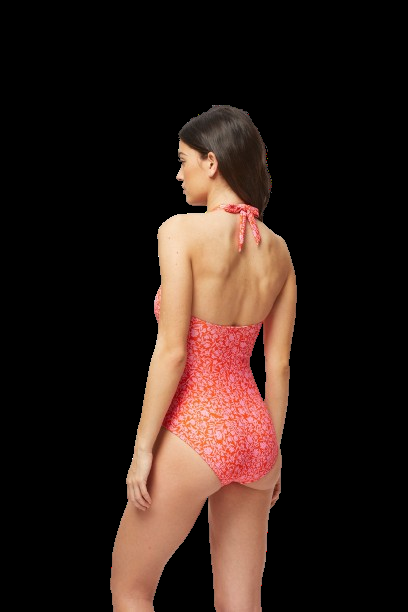 NEUHEITEN Limpopo Padded U Bar Badeanzug