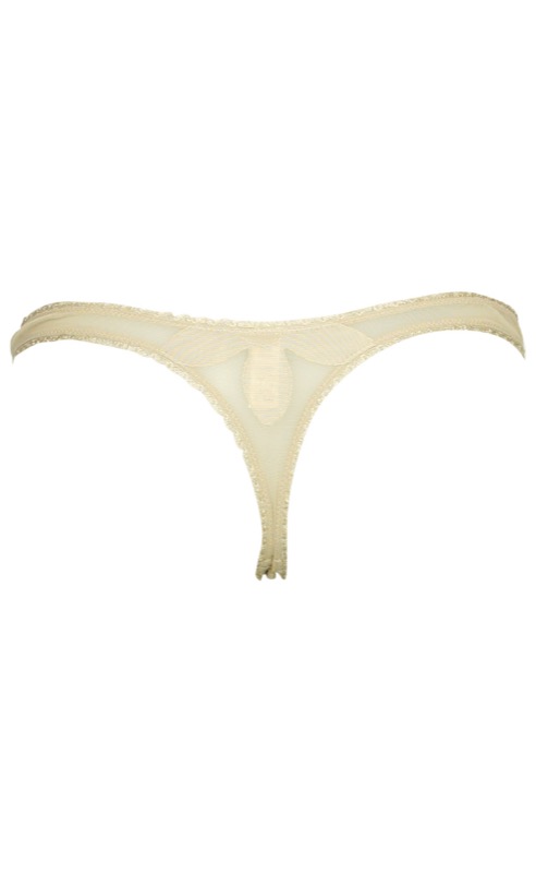 SALE Moonlight String Taube