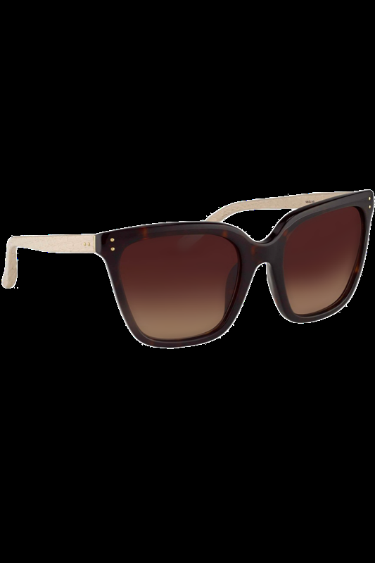 ACCESSOIRES Slim D-Framed Sonnenbrille LFL 347 Amber T-Shell/Ash Snake/ Brown Gradient