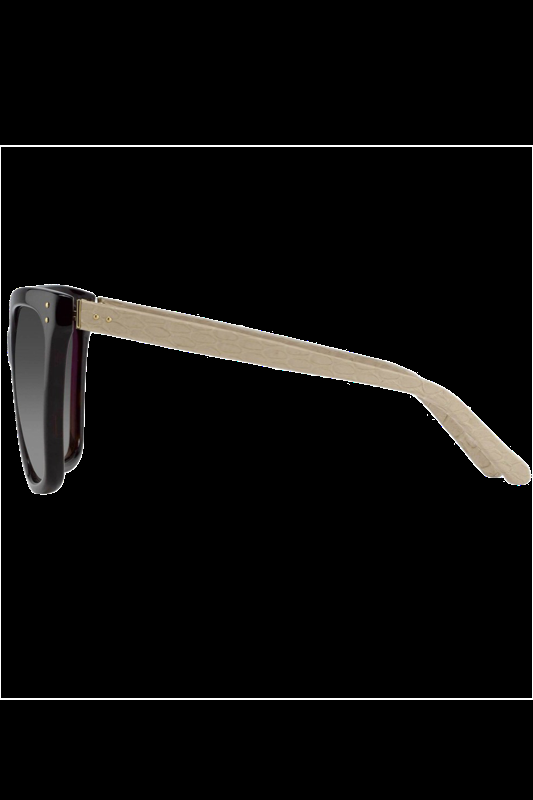 ACCESSOIRES Slim D-Framed Sonnenbrille LFL 347 Amber T-Shell/Ash Snake/ Brown Gradient