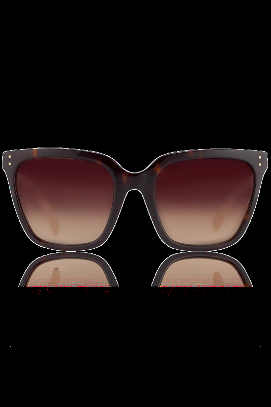 ACCESSOIRES Slim D-Framed Sonnenbrille LFL 347 Amber T-Shell/Ash Snake/ Brown Gradient