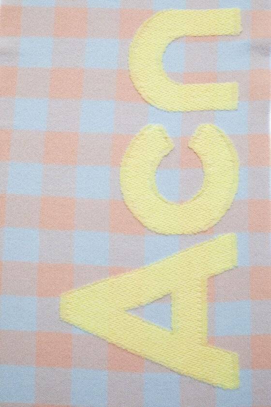 Acne Studios Karierter Schal Mit Logo