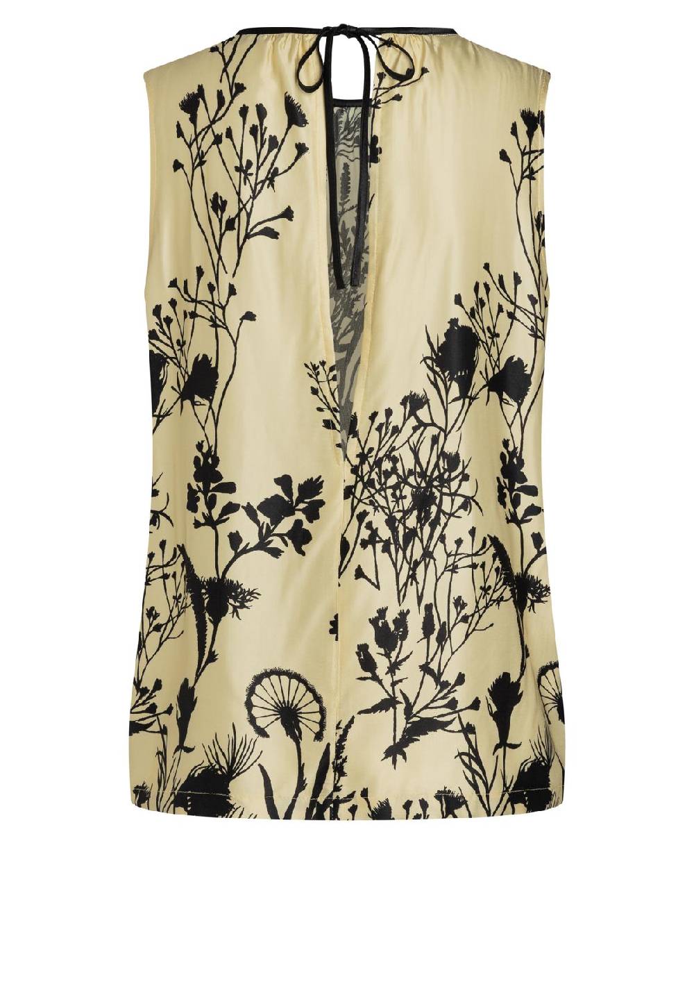 Ana Alcazar Satintop Carea