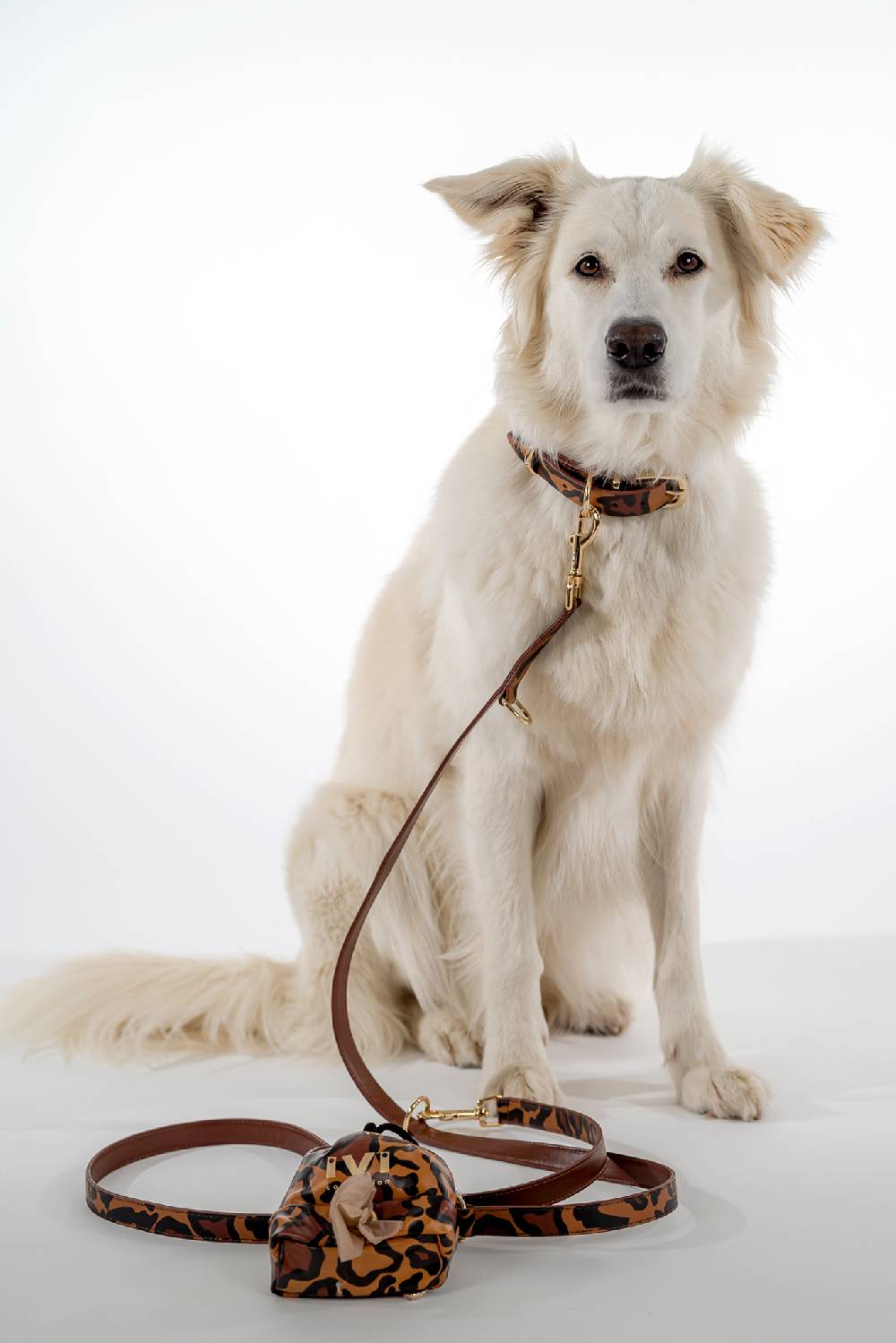 IVI GmbH BIG LEO Halsband