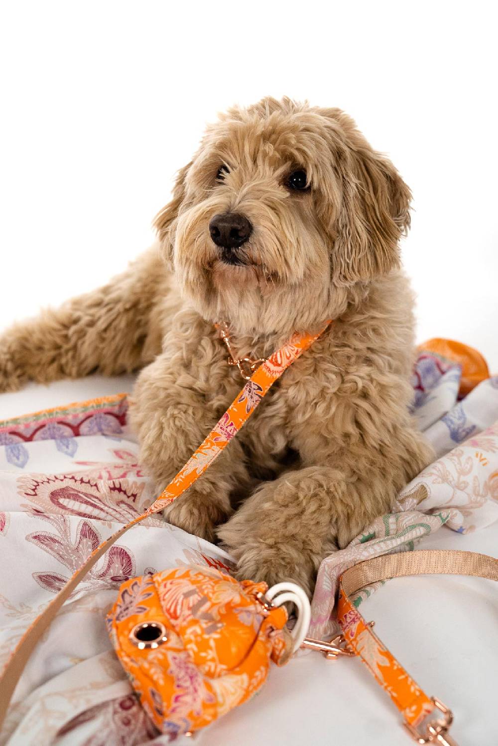 IVI GmbH BLOOM Hundeleine