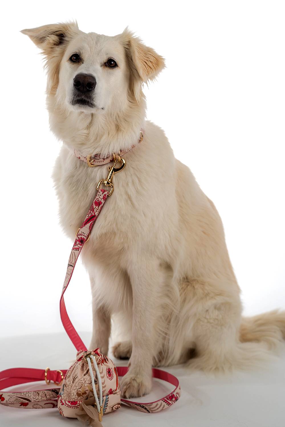 IVI GmbH BROCATE Hundeleine