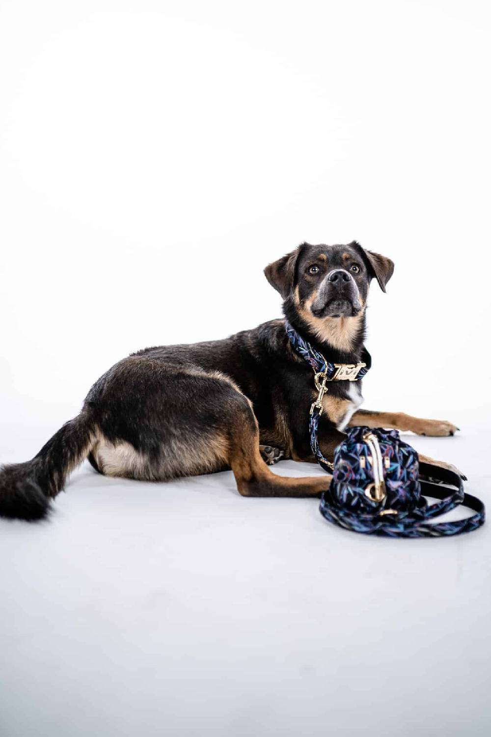 IVI GmbH COTTAGE GARDEN Hundeleine