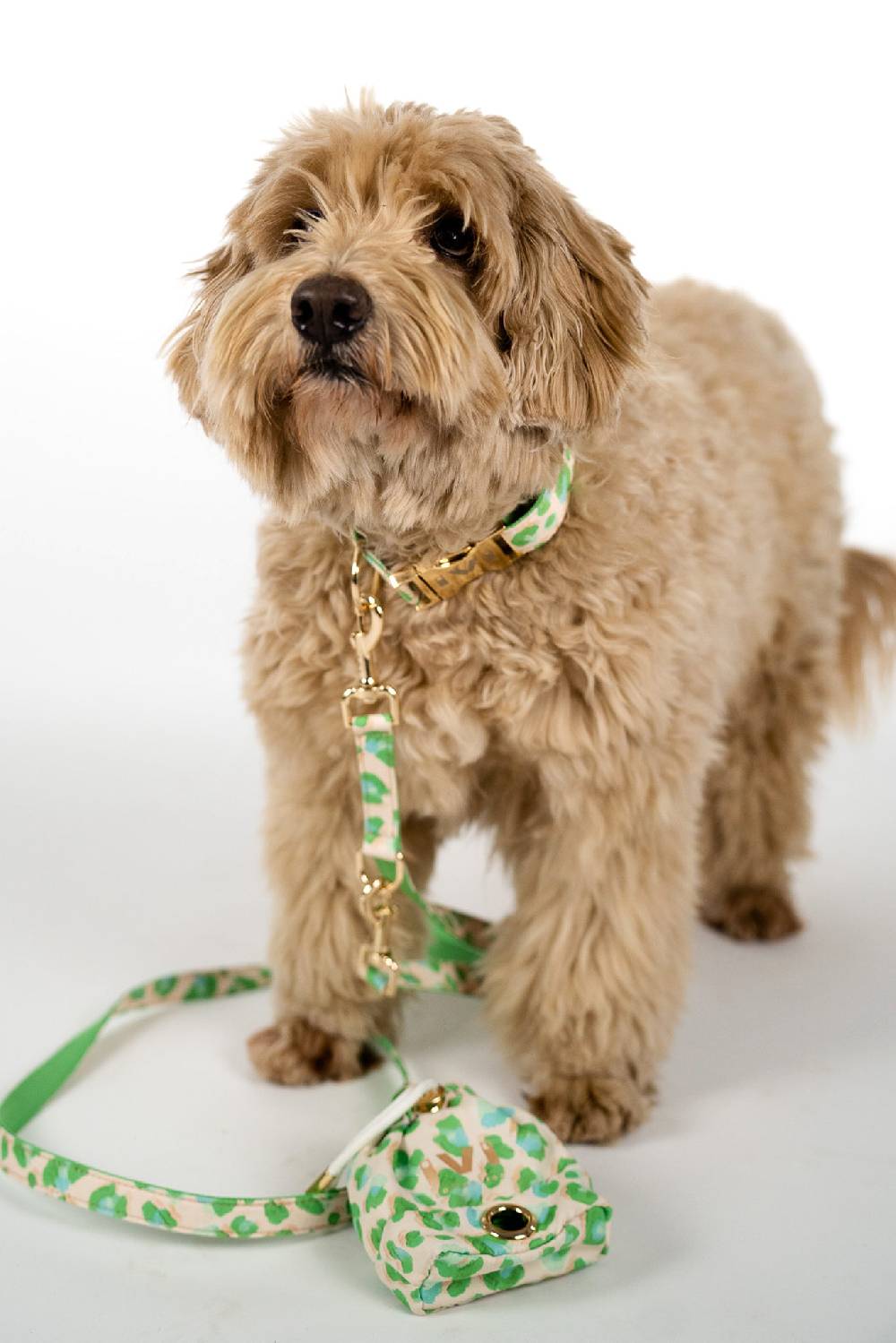 IVI GmbH GREEN LEO Hundeleine