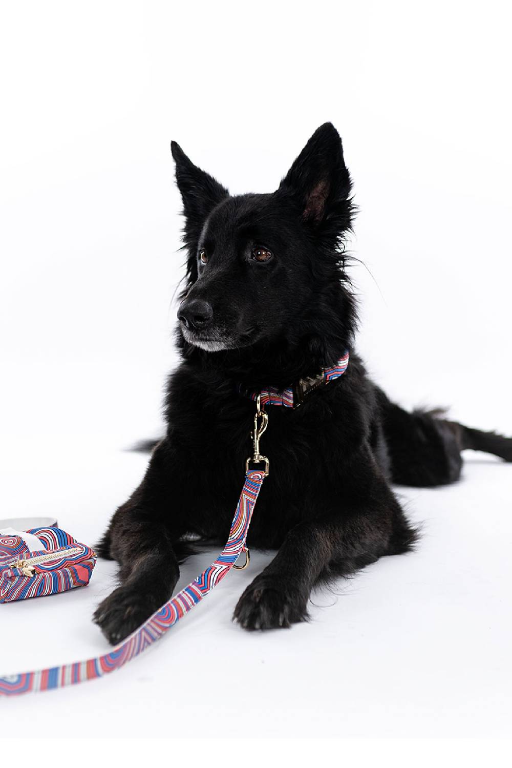 IVI GmbH HAVANA HEARTS Harness