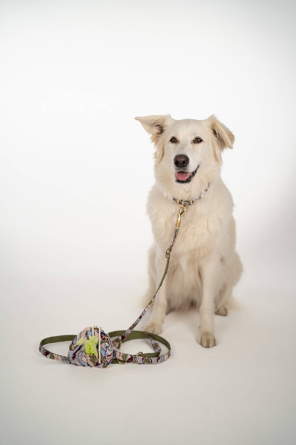 IVI GmbH LAS VEGAS Halsband