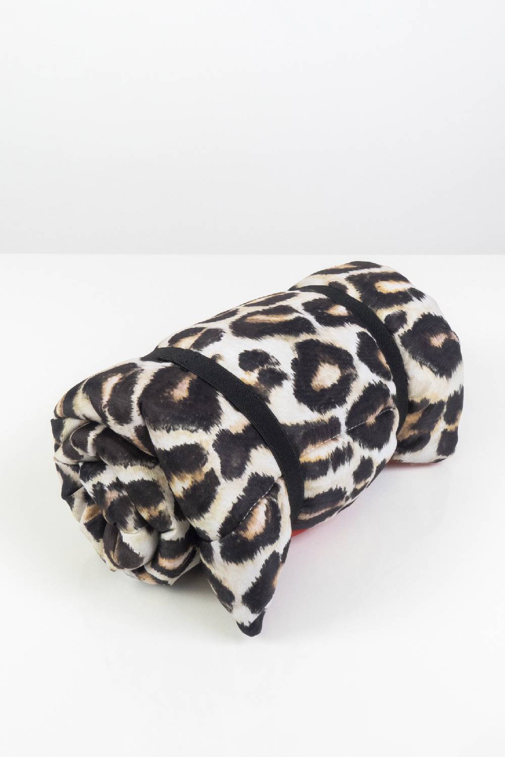 IVI GmbH LEO Dog Mat