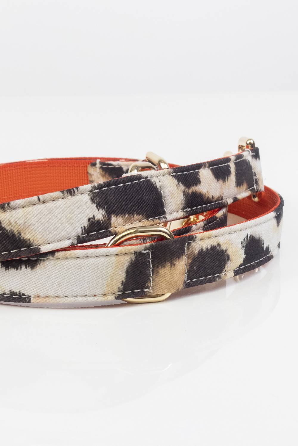 IVI GmbH LEO Hundeleine