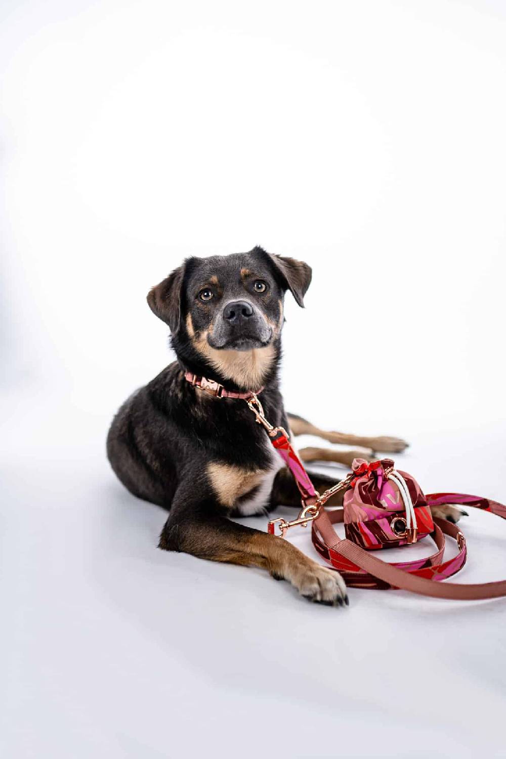 IVI GmbH MANHATTAN Futterbeutel