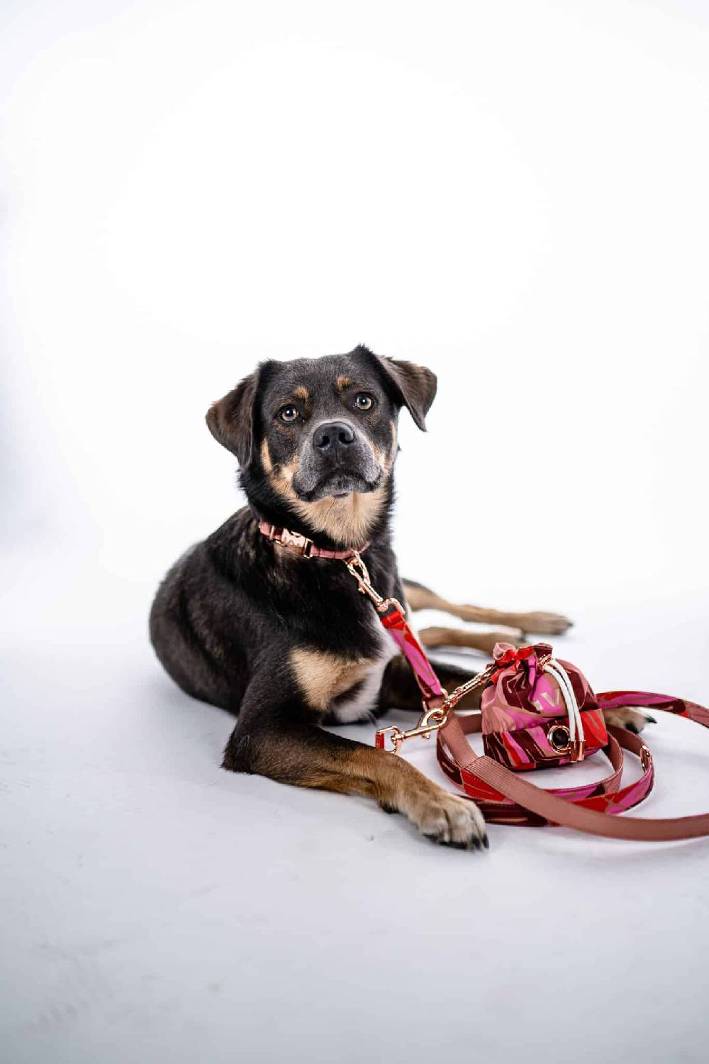 IVI GmbH MANHATTAN Halsband