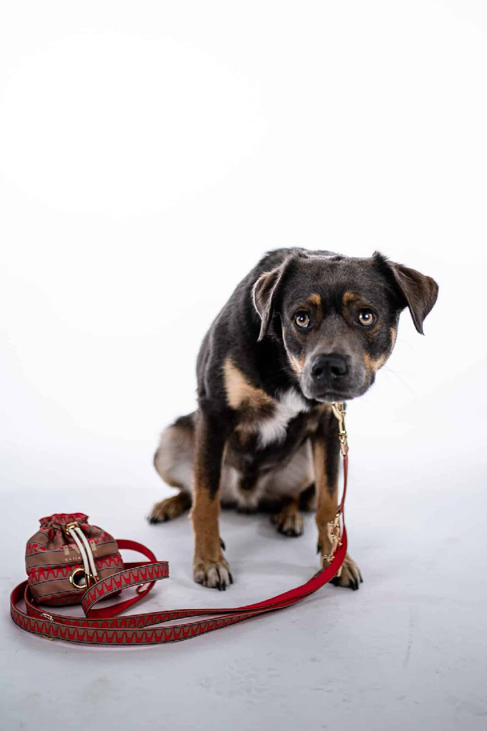 IVI GmbH NEW YORK Futterbeutel