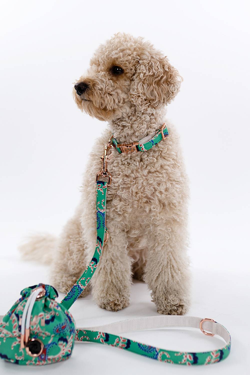 IVI GmbH PALI Halsband