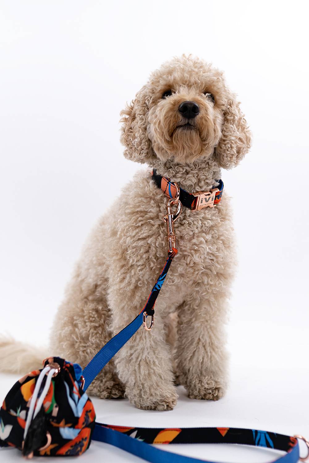 IVI GmbH PAPAYA Hundeleine