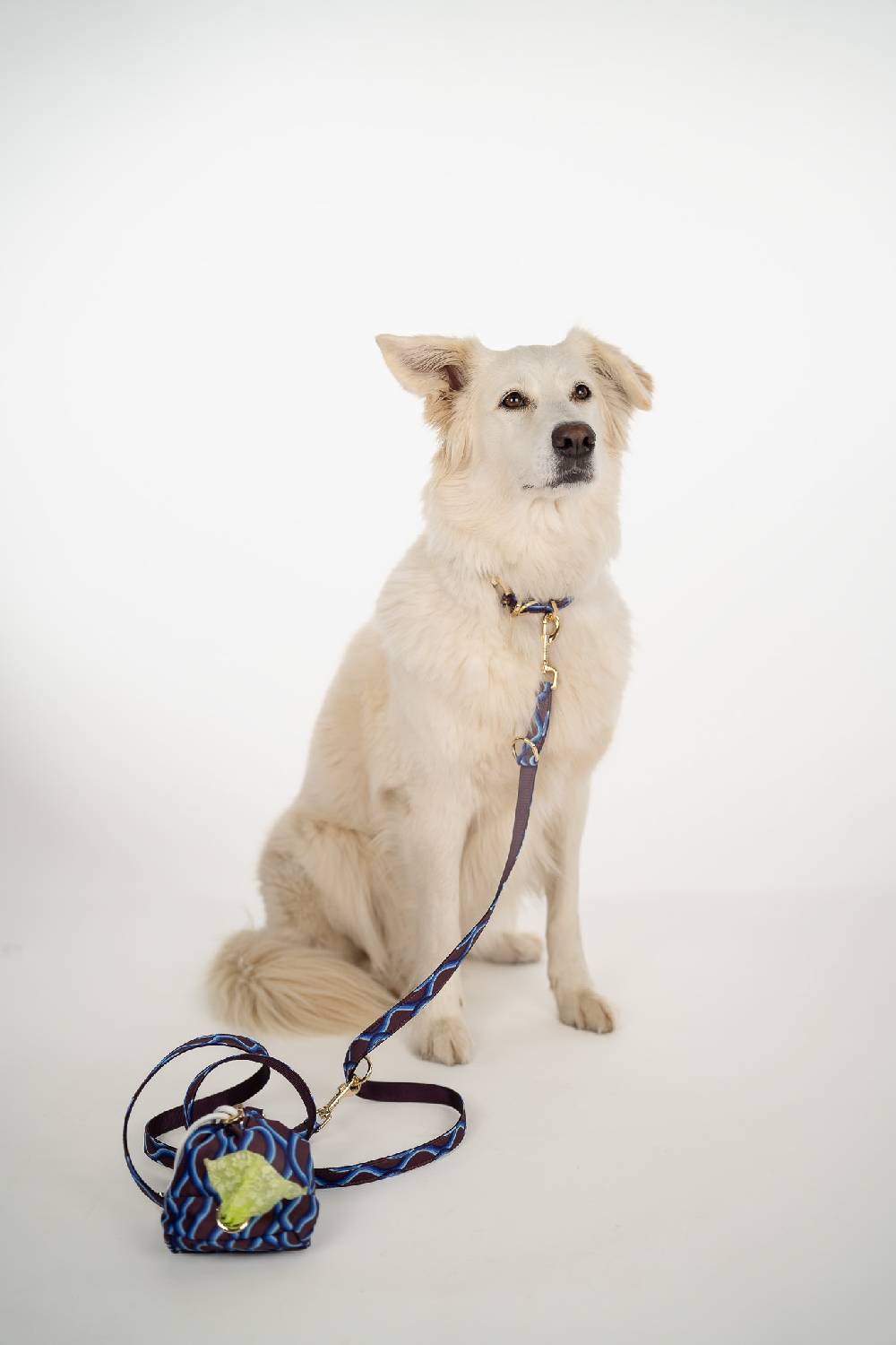 IVI GmbH PARADISE WAVE Hundeleine