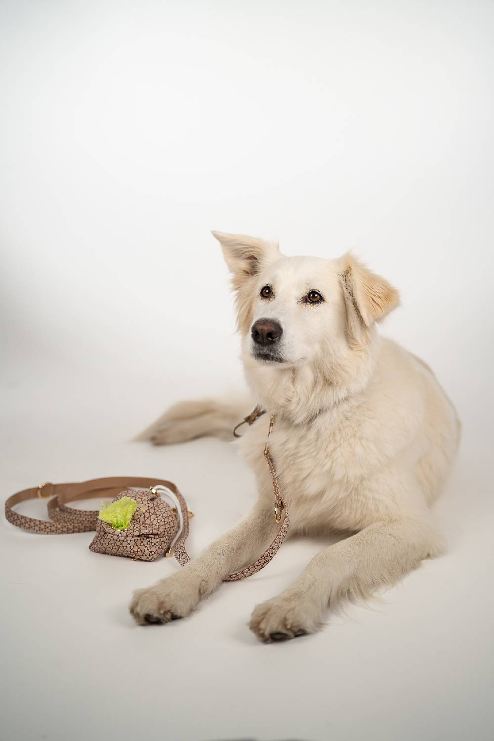 IVI GmbH TREASURE Futterbeutel