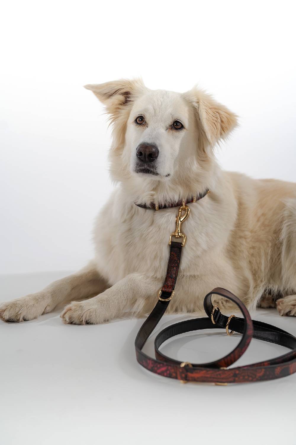 IVI GmbH WILD HERBS Hundeleine