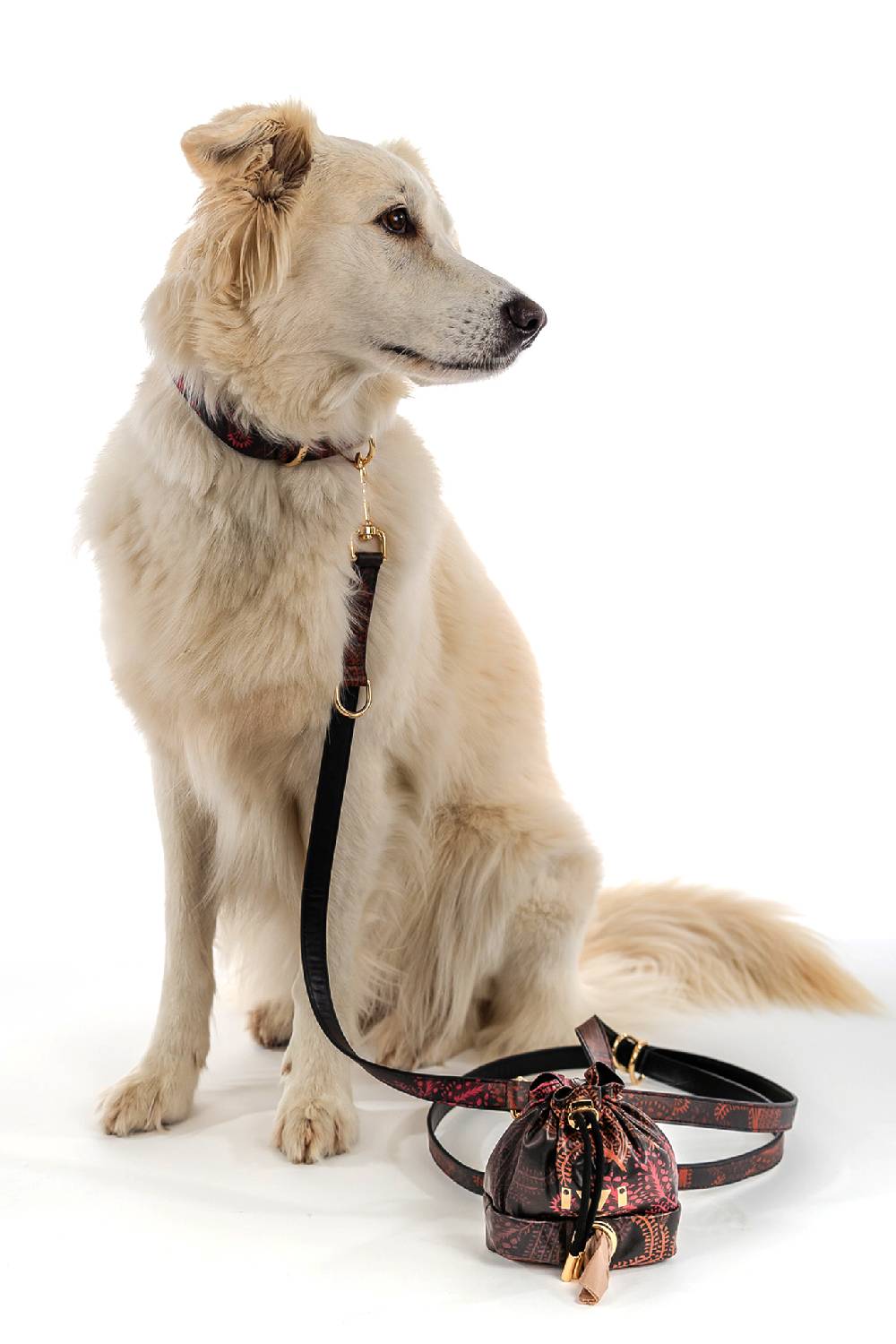 IVI GmbH WILD HERBS Hundeleine