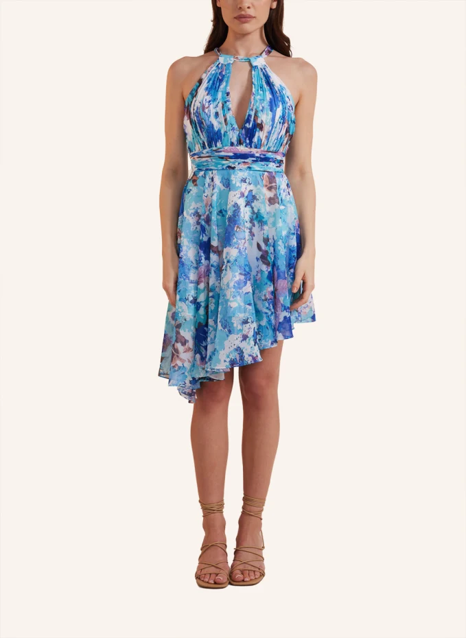 ADLYSH Kleid PARADISE DRESS