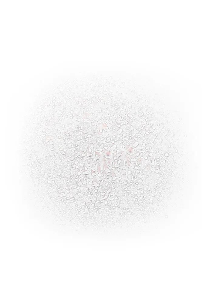 ANNEMARIE BÖRLIND ROSE NATURE