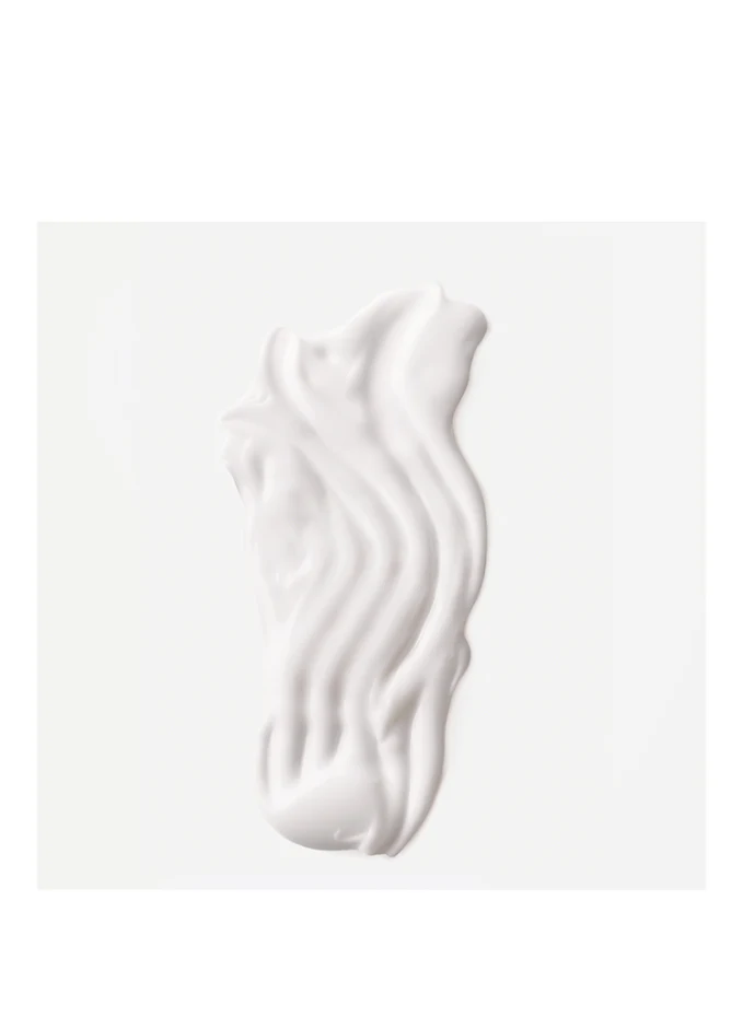 ANNEMARIE BÖRLIND SYSTEM ABSOLUTE