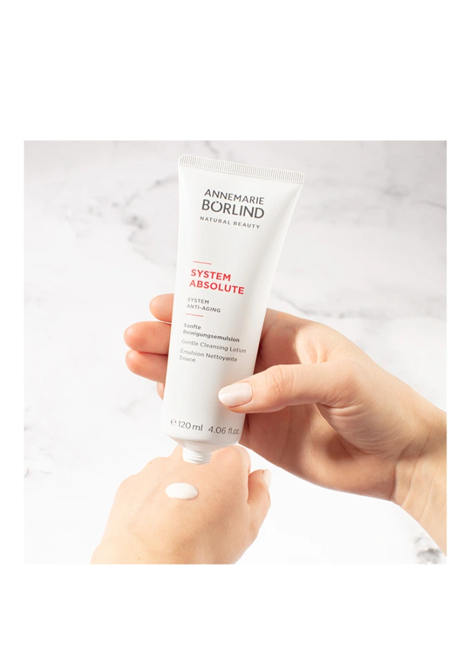 ANNEMARIE BÖRLIND SYSTEM ABSOLUTE