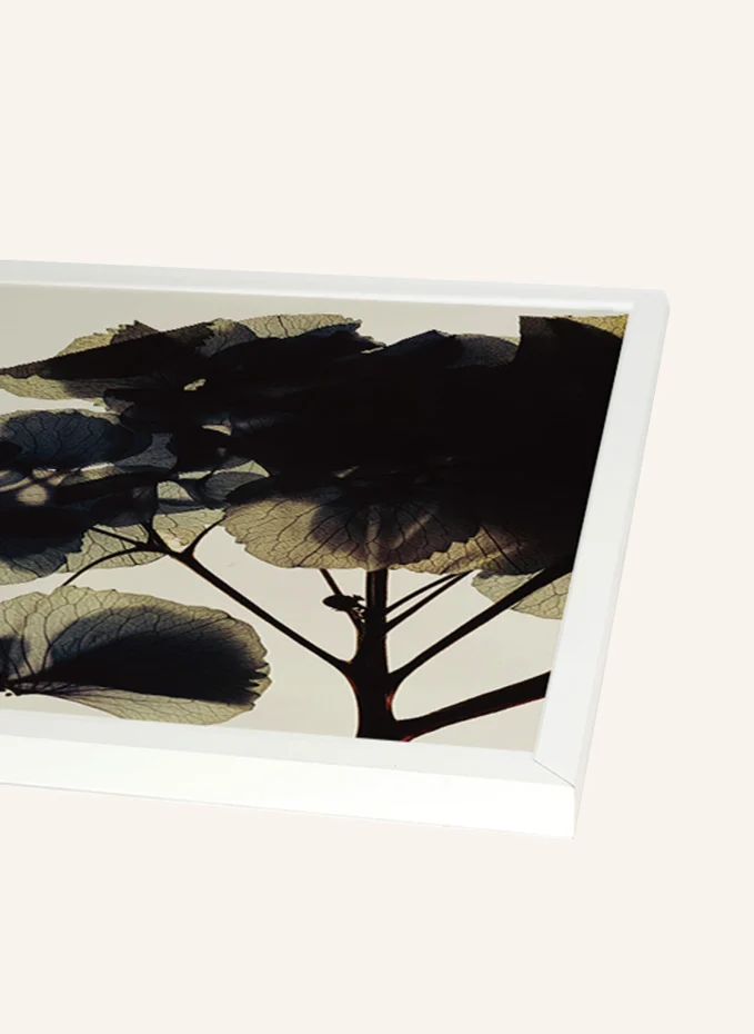ANY IMAGE Wandbild HORTENSIE Mit Rahmen