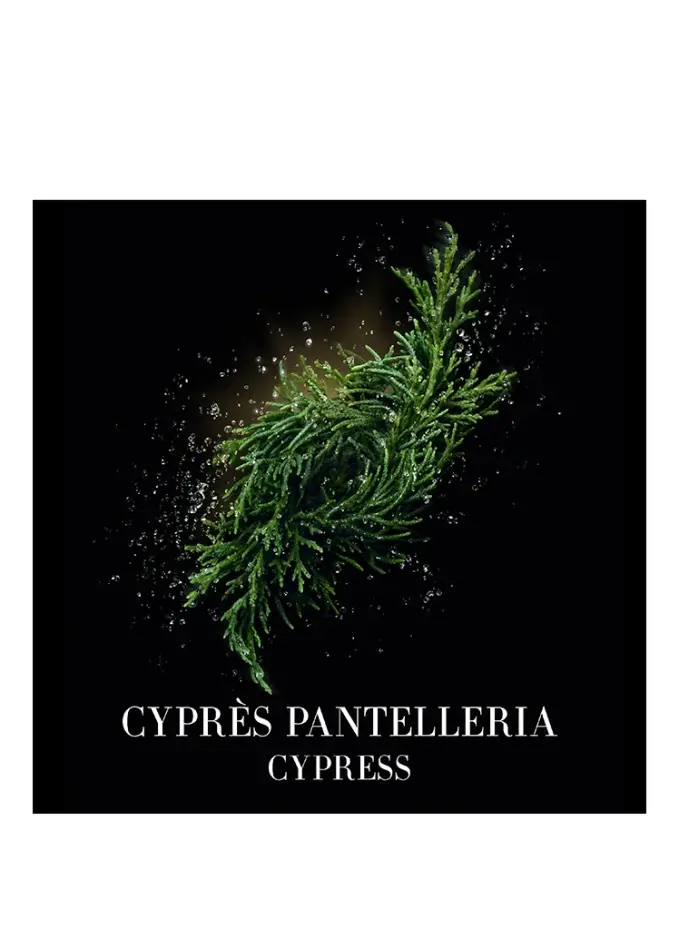 ARMANI PRIVÉ ARMANI PRIVÉ CYPRÈS PANTELLERIA