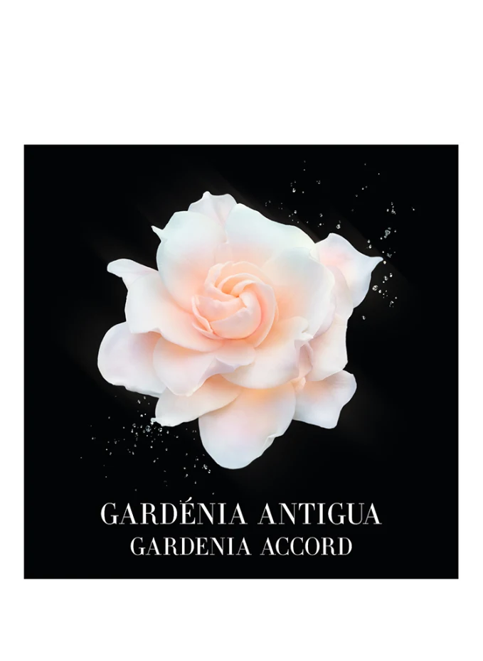 ARMANI PRIVÉ GARDÉNIA ANTIGUA