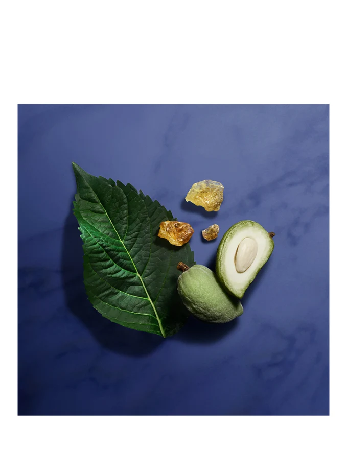 ARMANI PRIVÉ INDIGO TANZANITE