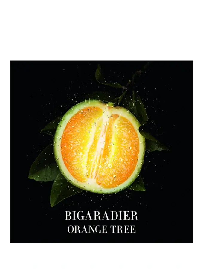 ARMANI PRIVÉ ORANGERIE VENISE