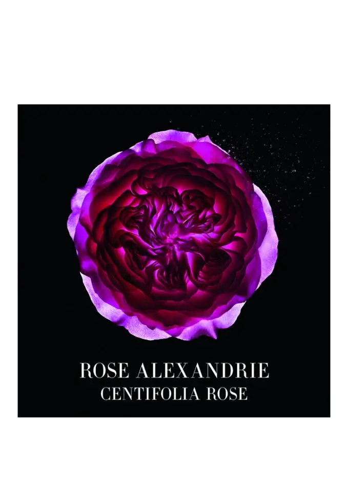 ARMANI PRIVÉ ROSE ALEXANDRIE