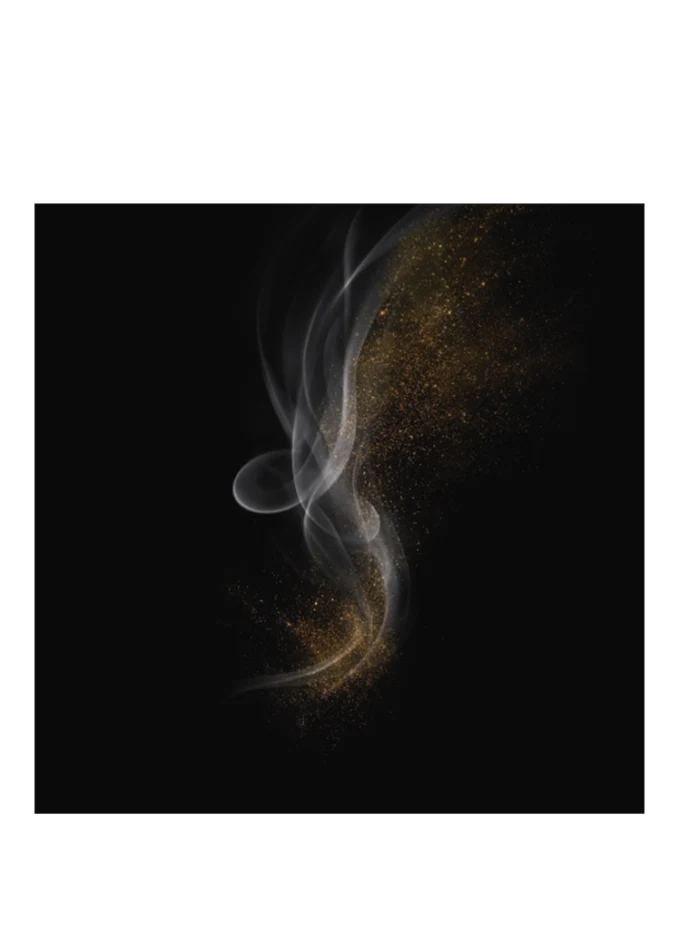 ARMANI PRIVÉ SABLE NUIT