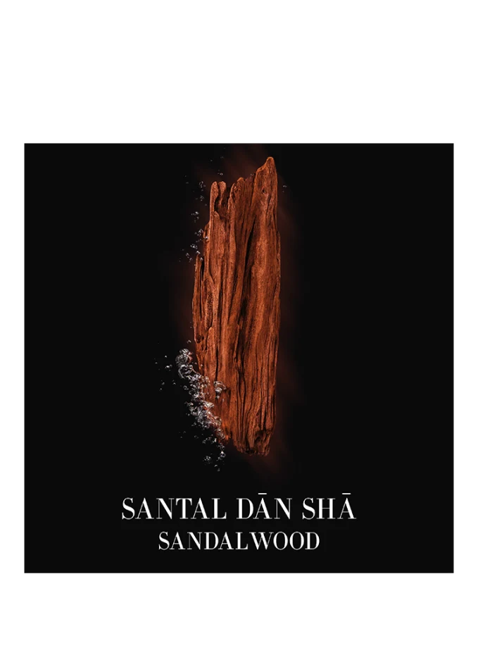 ARMANI PRIVÉ SANTAL DAN SHA