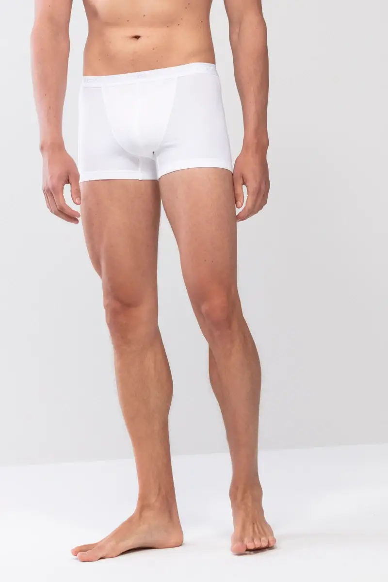 Merxx Shorty Serie Software