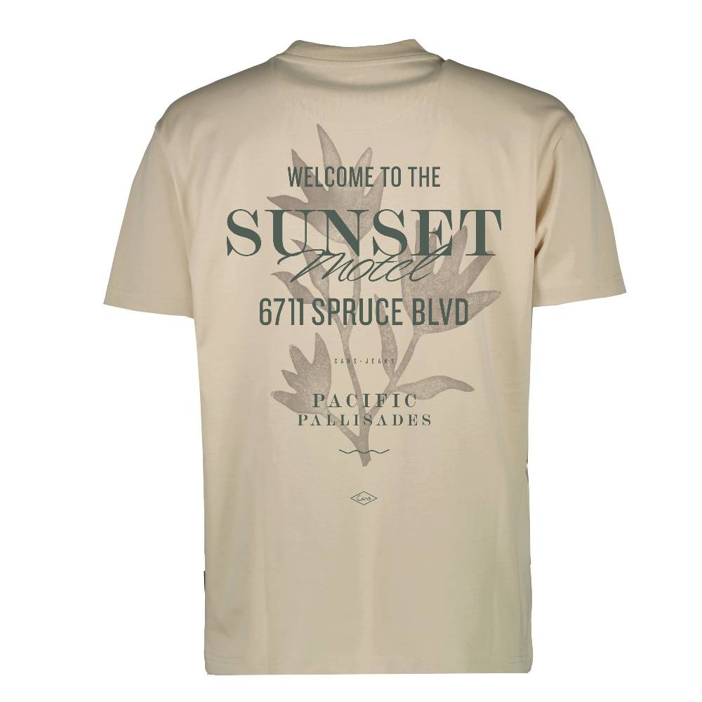 Cars Jeans Colyn TS Backprint Taupe